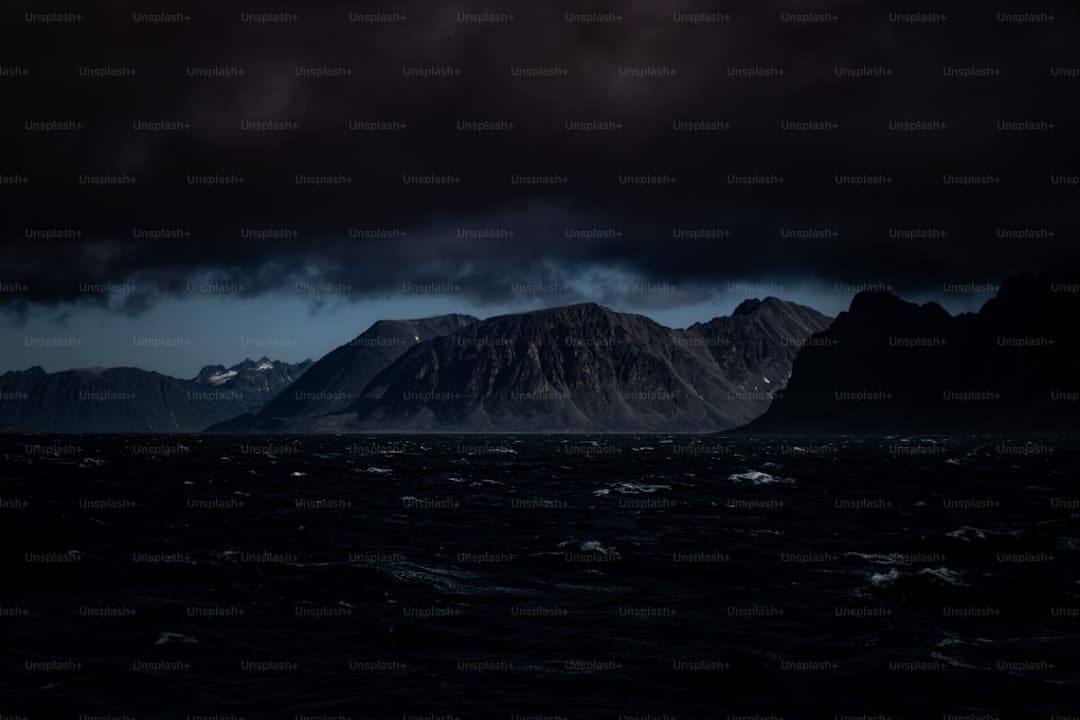 白玫瑰谈论反常 争议不断引发热议